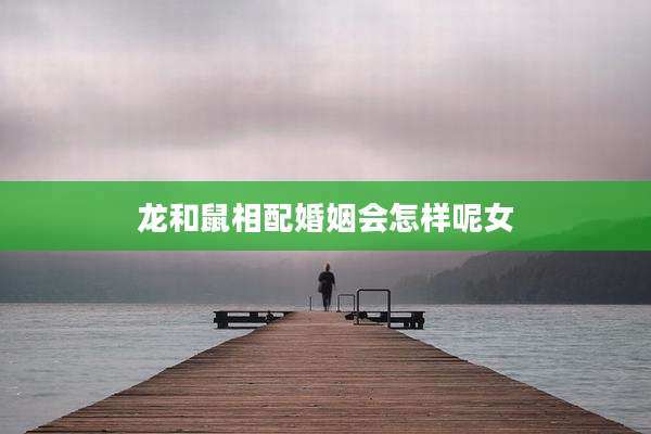 龙和鼠相配婚姻会怎样呢女