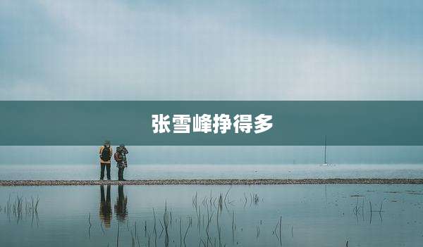 张雪峰挣得多