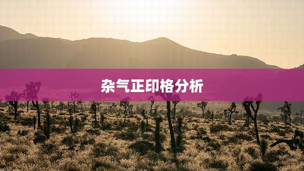 杂气正印格分析