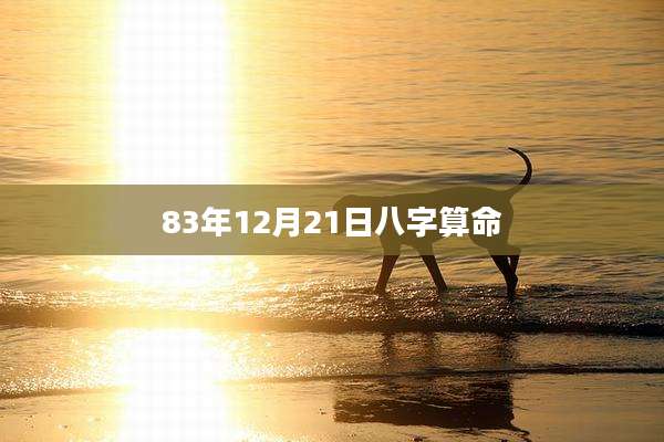 83年12月21日八字算命