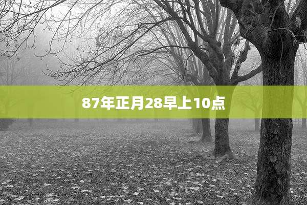 87年正月28早上10点