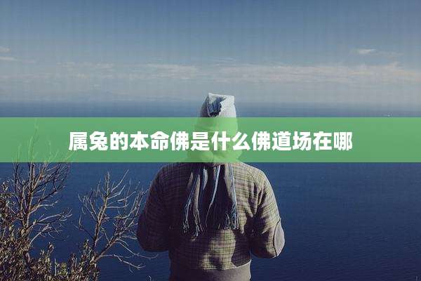 属兔的本命佛是什么佛道场在哪