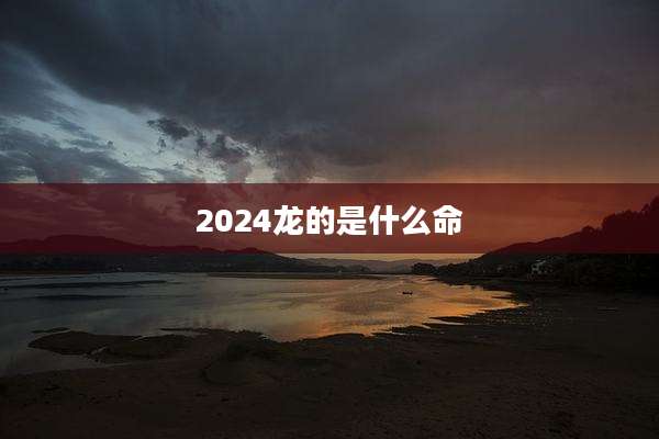 2024龙的是什么命