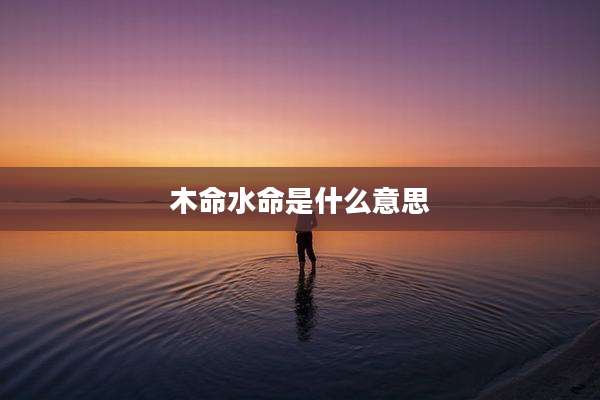 木命水命是什么意思