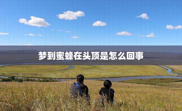 梦到蜜蜂在头顶是怎么回事
