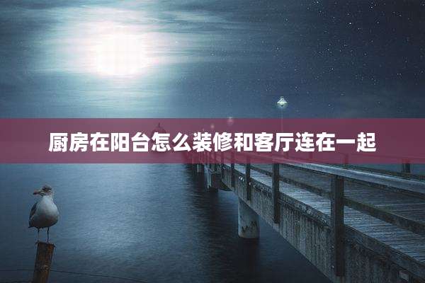厨房在阳台怎么装修和客厅连在一起