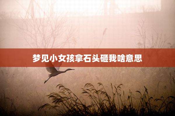 梦见小女孩拿石头砸我啥意思