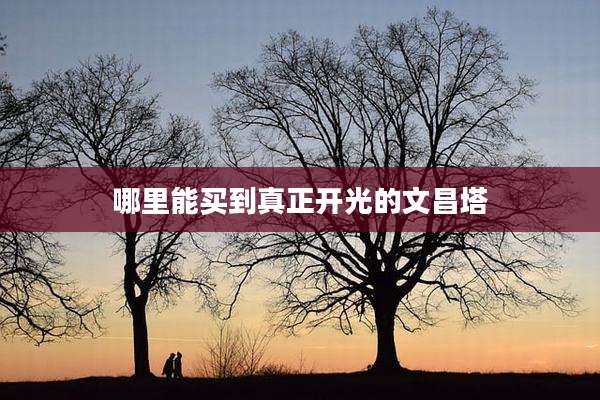 哪里能买到真正开光的文昌塔