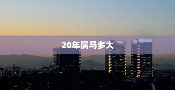 20年属马多大