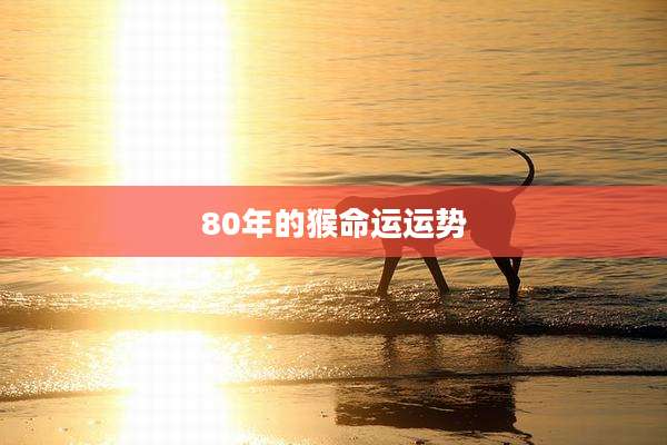 80年的猴命运运势