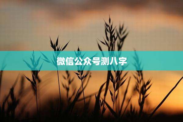 微信公众号测八字