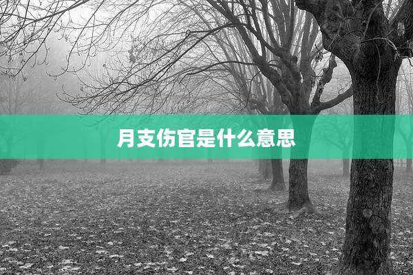 月支伤官是什么意思