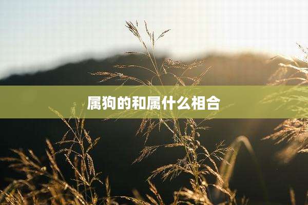 属狗的和属什么相合