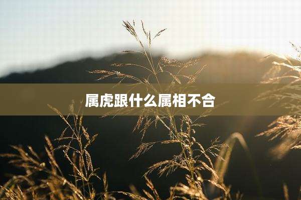 属虎跟什么属相不合