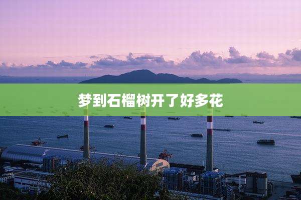 梦到石榴树开了好多花
