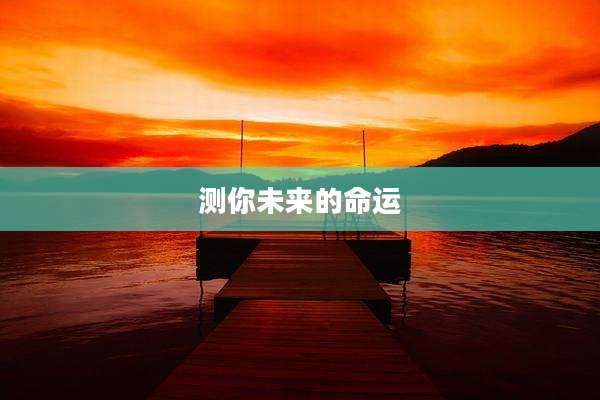 测你未来的命运