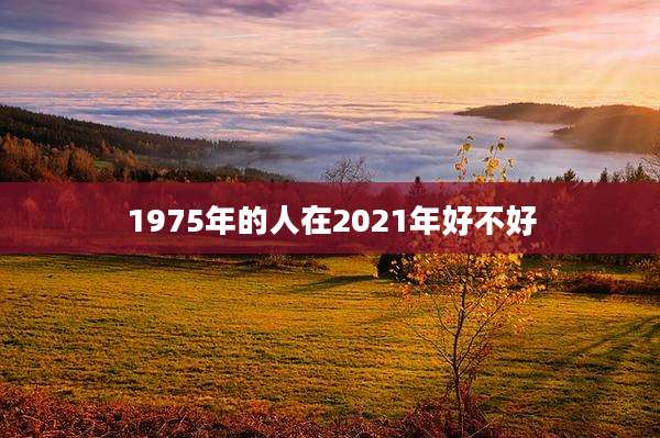1975年的人在2021年好不好