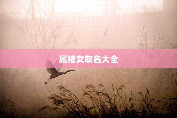 属猪女取名大全