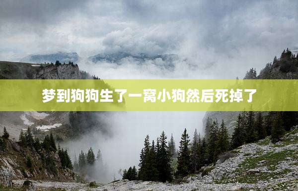 梦到狗狗生了一窝小狗然后死掉了