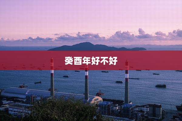 癸酉年好不好