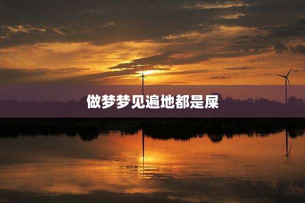 做梦梦见遍地都是屎
