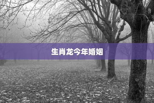 生肖龙今年婚姻