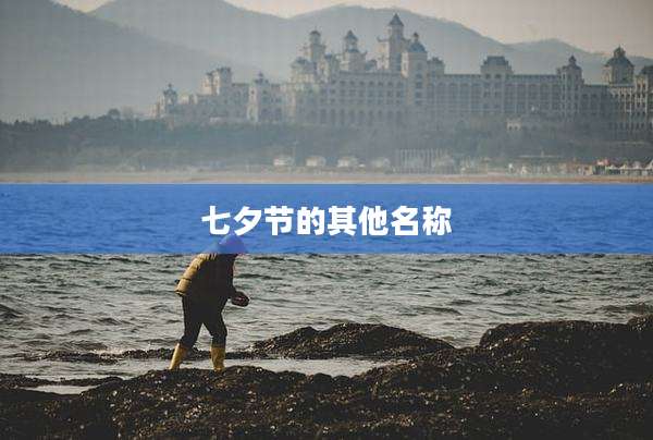 七夕节的其他名称