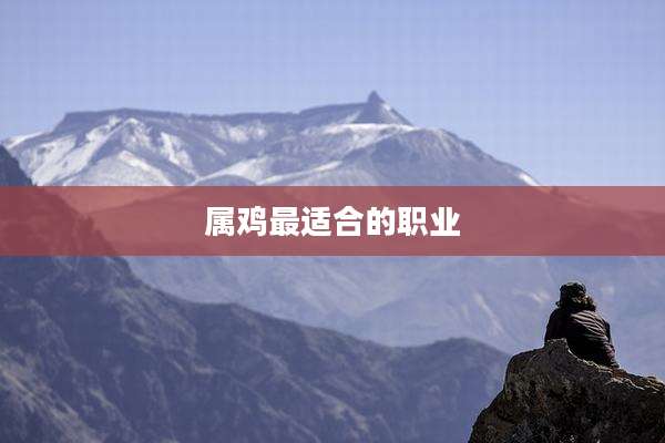 属鸡最适合的职业