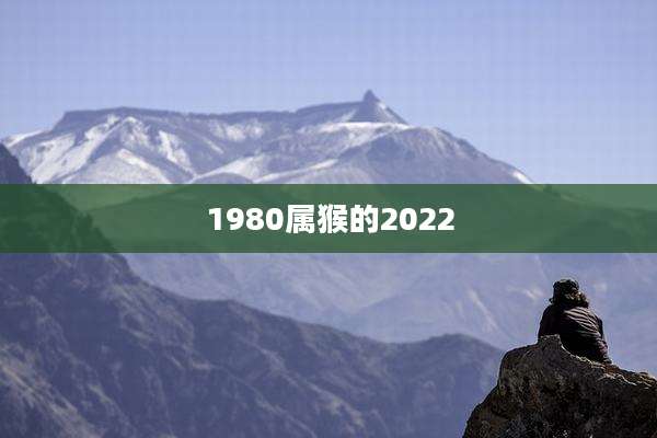 1980属猴的2022
