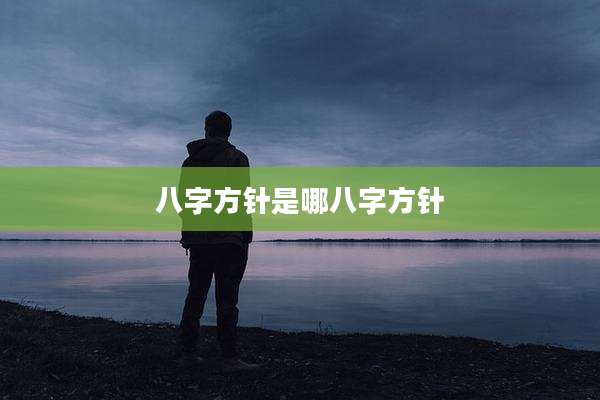 八字方针是哪八字方针