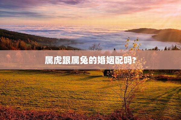 属虎跟属兔的婚姻配吗?