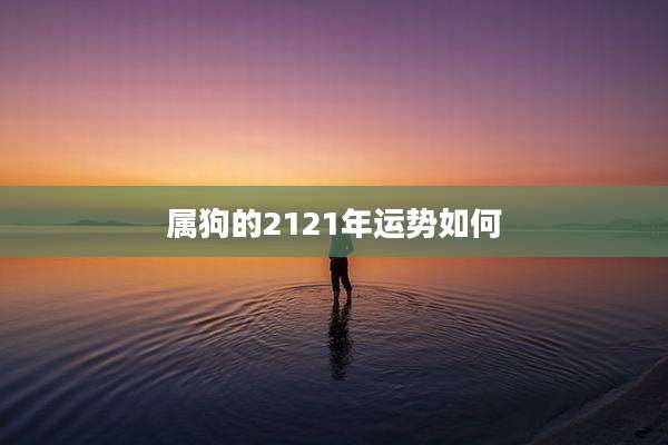 属狗的2121年运势如何
