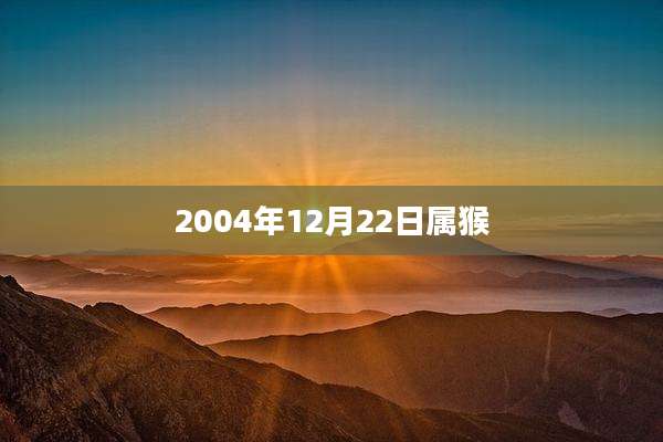 2004年12月22日属猴