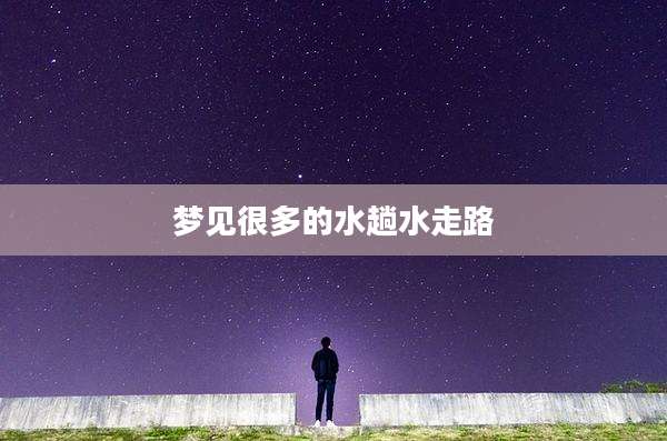 梦见很多的水趟水走路