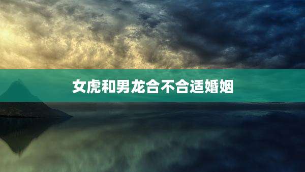 女虎和男龙合不合适婚姻
