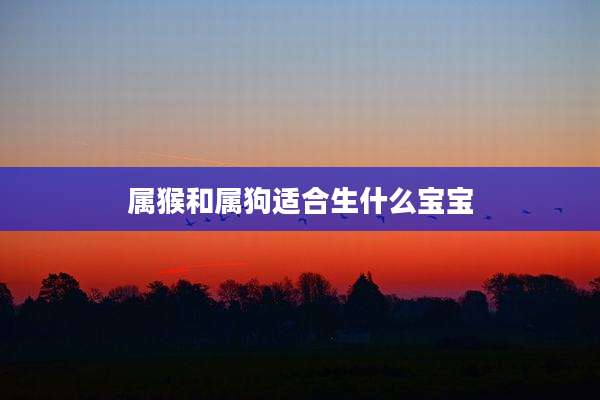 属猴和属狗适合生什么宝宝