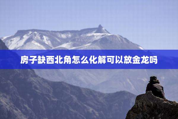 房子缺西北角怎么化解可以放金龙吗