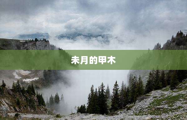 未月的甲木