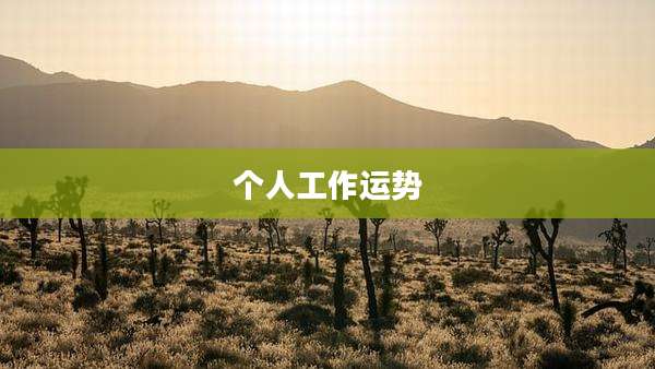 个人工作运势