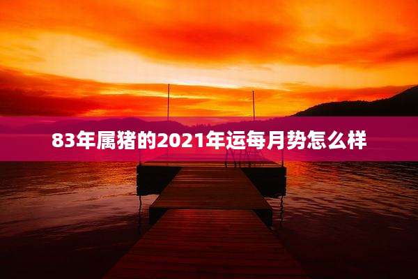 83年属猪的2021年运每月势怎么样