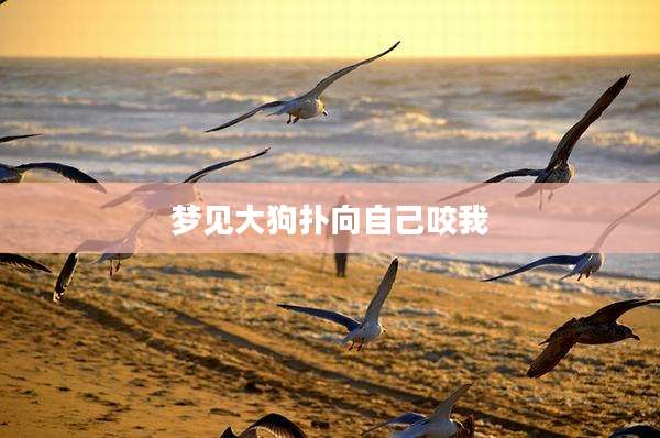 梦见大狗扑向自己咬我