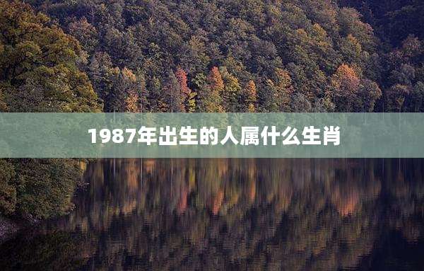 1987年出生的人属什么生肖