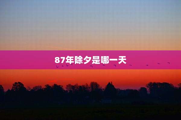 87年除夕是哪一天