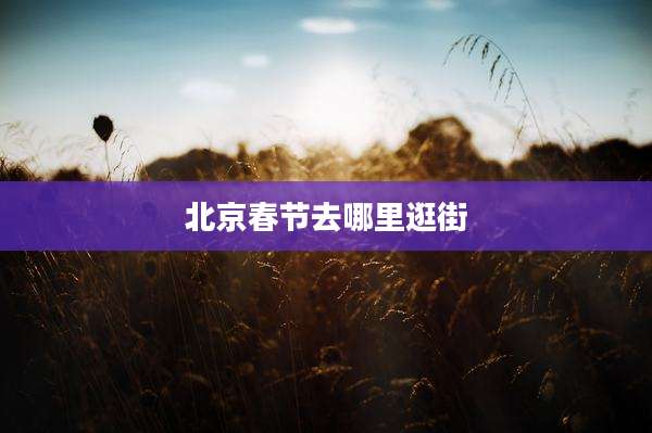 北京春节去哪里逛街