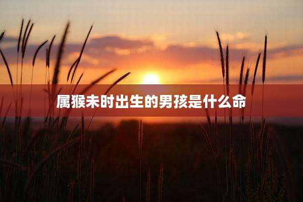 属猴未时出生的男孩是什么命