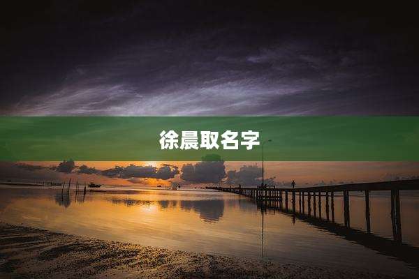 徐晨取名字