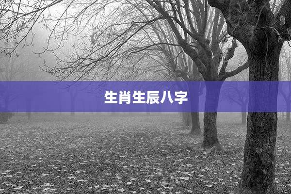 生肖生辰八字