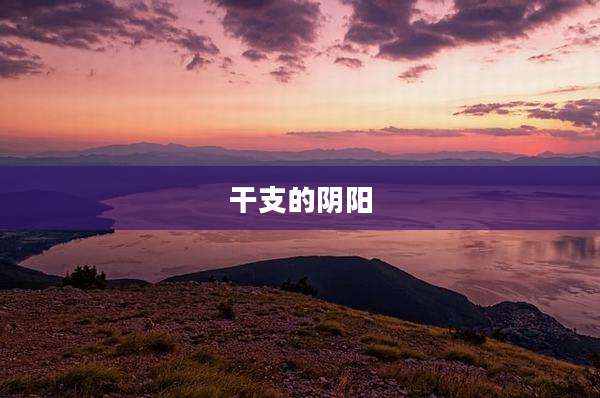 干支的阴阳