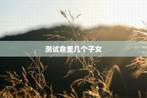 测试命里几个子女
