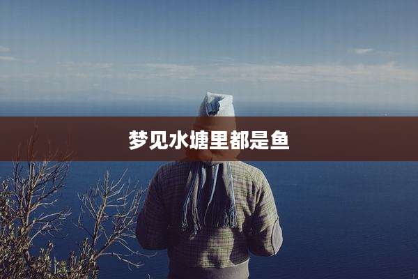 梦见水塘里都是鱼
